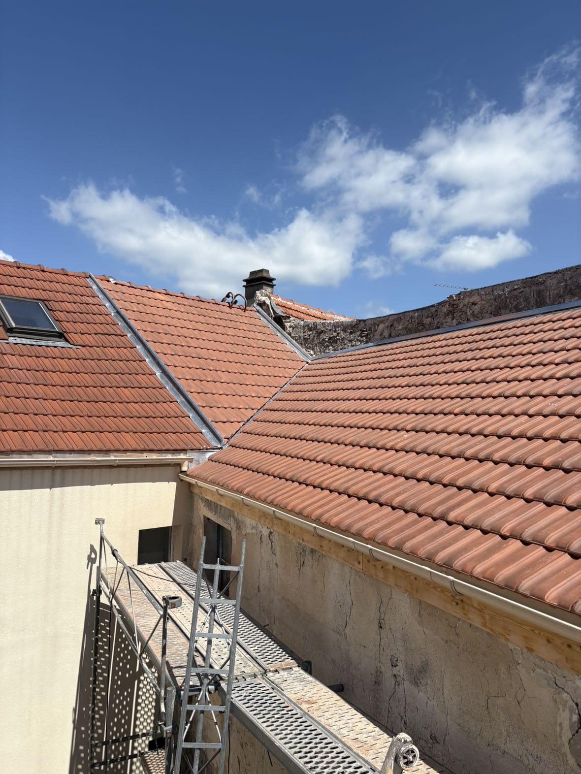 WhatsApp Image 2025-10-19 at 23.35.31 (1)