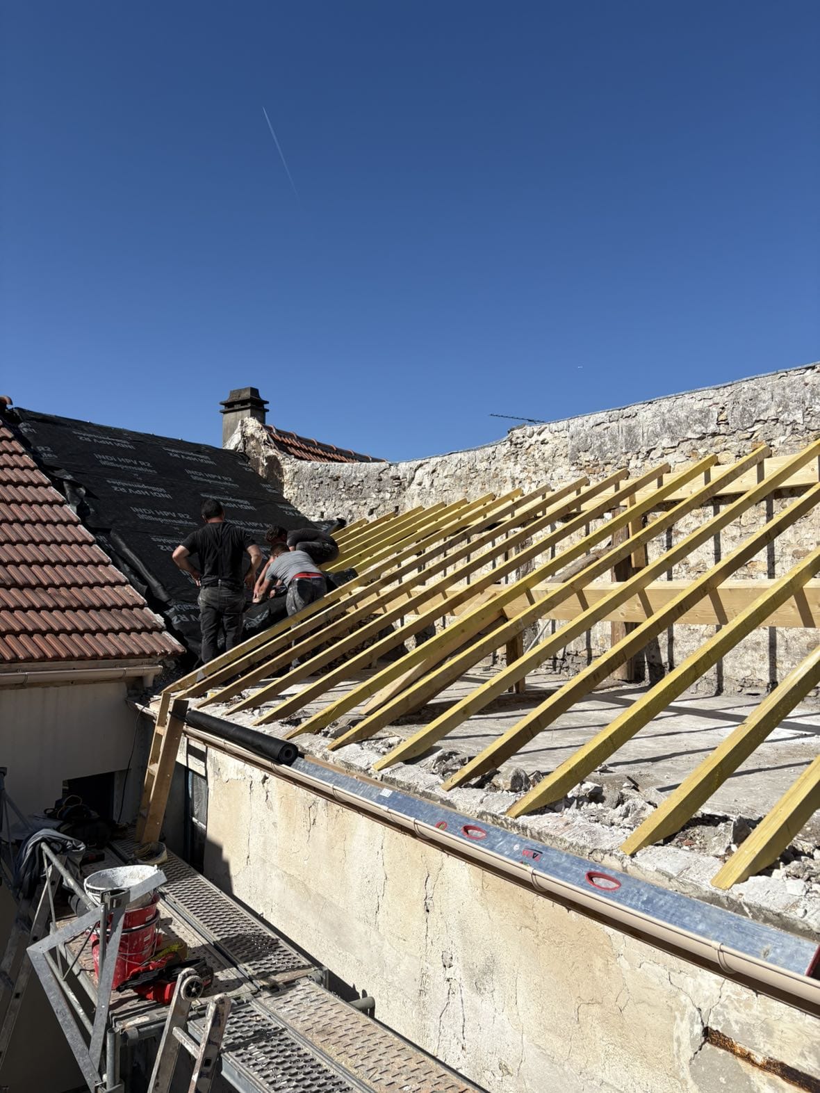 WhatsApp Image 2025-10-19 at 23.35.36