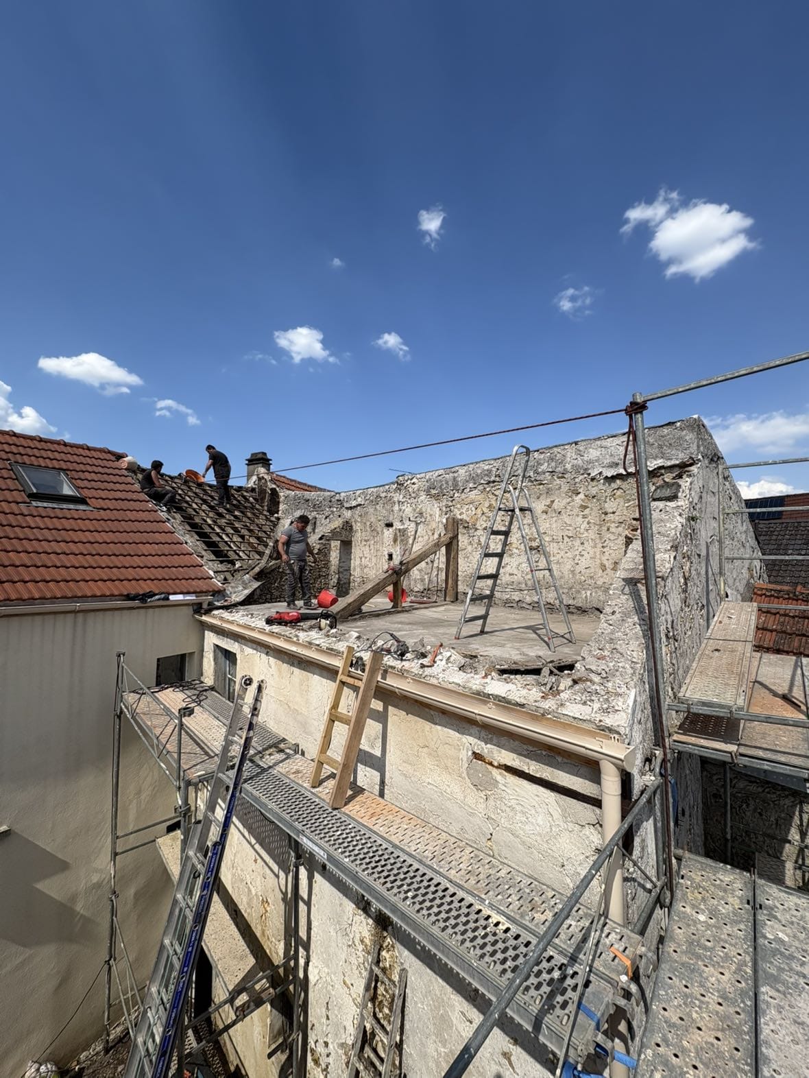 WhatsApp Image 2025-10-19 at 23.35.46 (1)